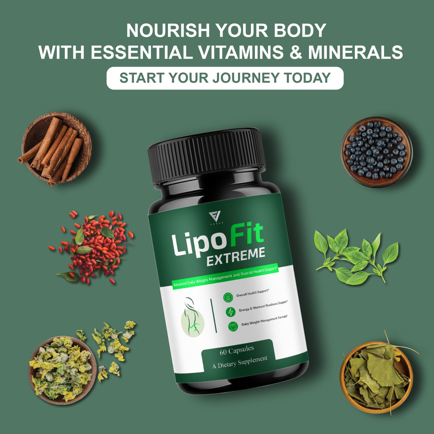 Lipofit Extreme Premium Wellness Supplement, Lipo Fit (60 Capsules)