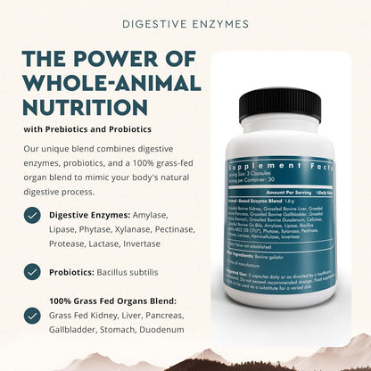 Digestive Enzymes for Women & Men, 90 Capsules, with Probiotics and Grass Fed Beef Organs, Supports Gut Health, Digestive Health & Nutrient Absorption, Allergen Free, Non GMO