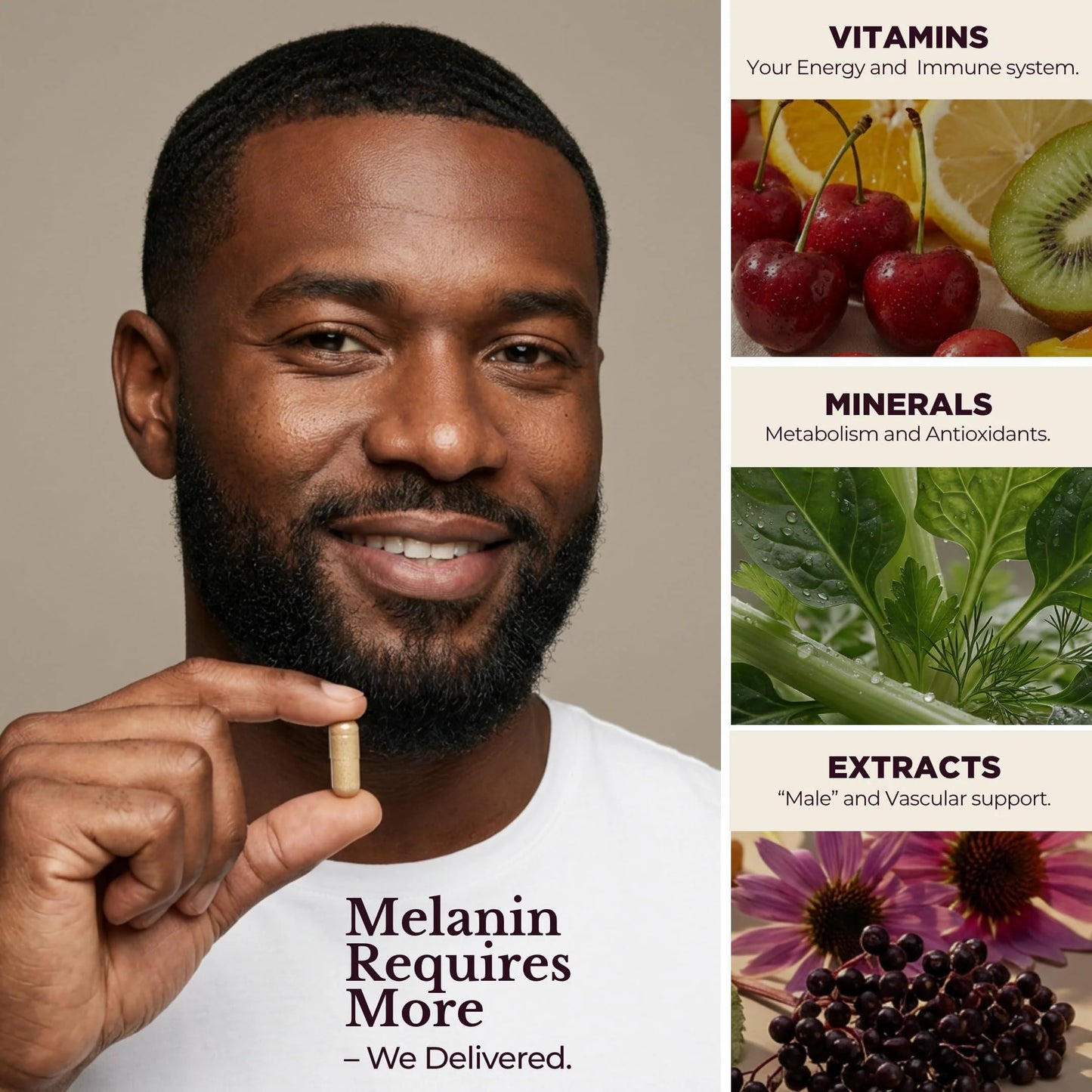 Melanin Rich Multivitamin for Men Daily Multivitamins 60 Capsules with B Complex Vitamins Vitamin D Zinc Saw Palmetto & Antioxidants 2 a Day 60 Capsules