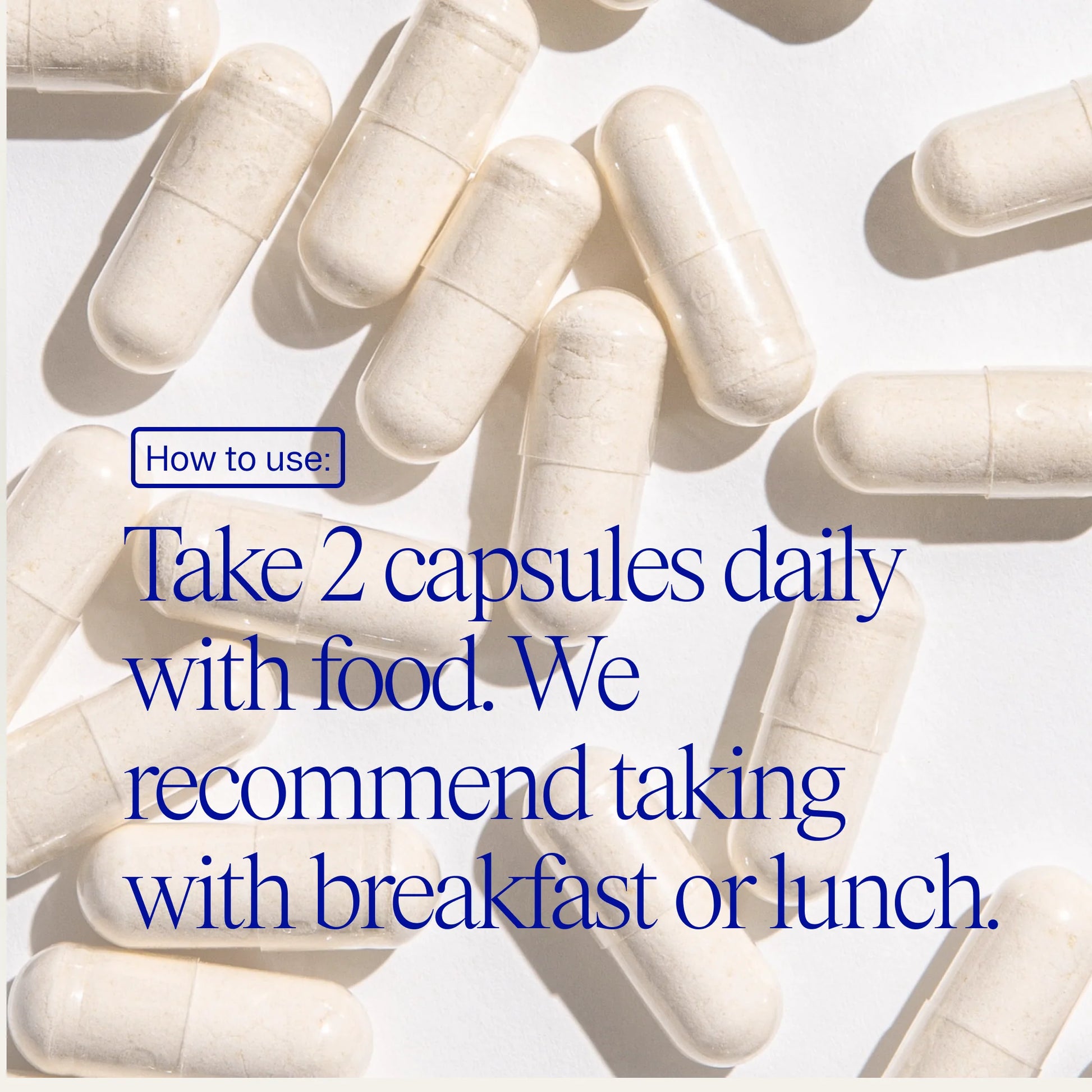 Probiotic + Prebiotic Daily Essential