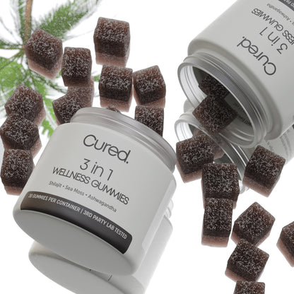 3-In-1 Wellness Gummies.