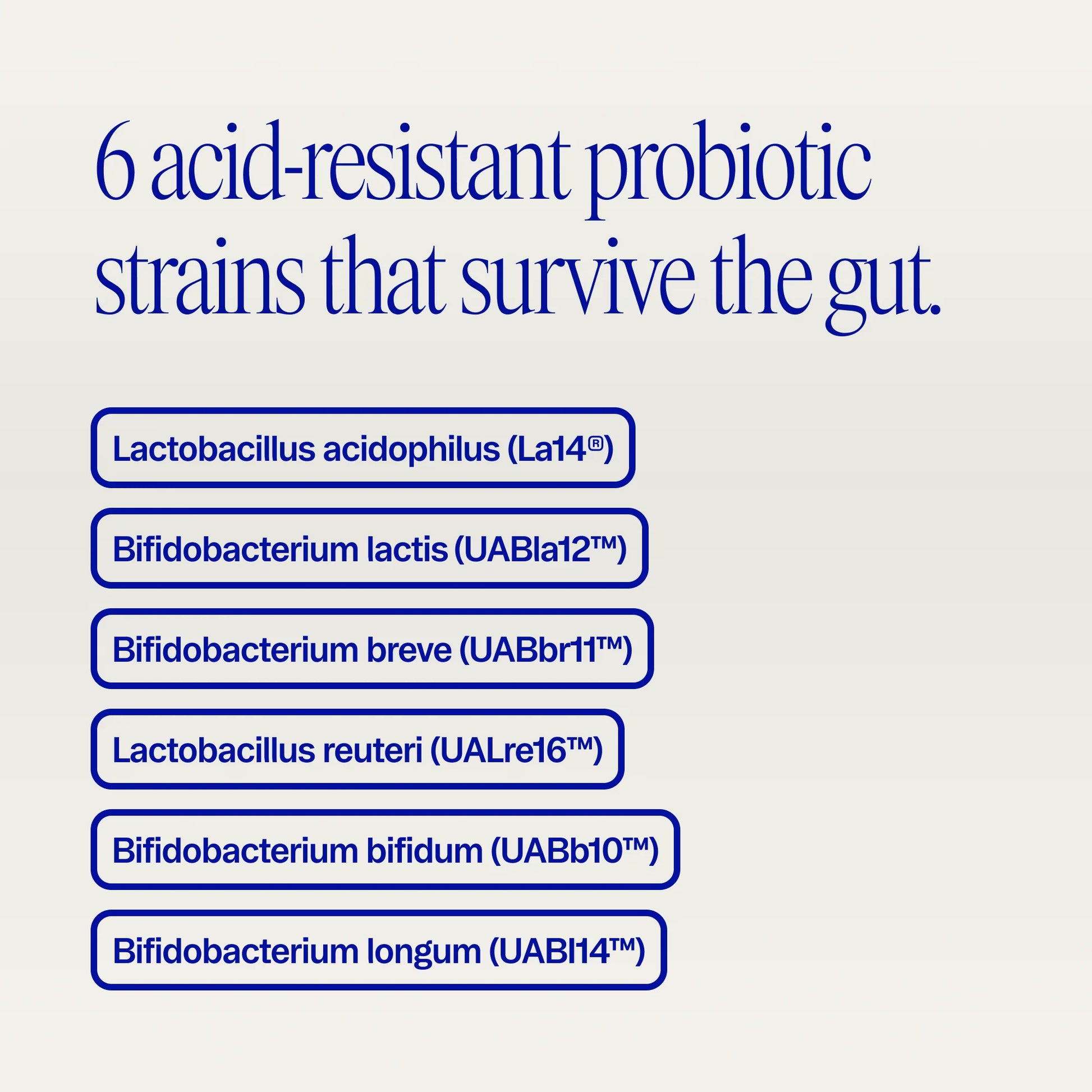 Probiotic + Prebiotic Daily Essential