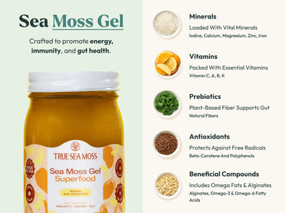 Sea Moss Gel Superfood