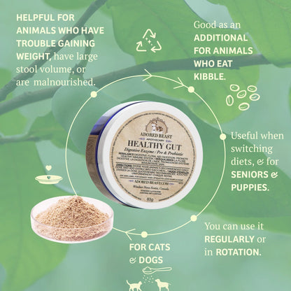 Pet Wellness Staples