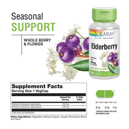 Elderberry Berry & Flower 450Mg | Support for General Wellbeing during Cold Months | with Flavonoids & Phenolic Compounds | Non-Gmo | 100Ct