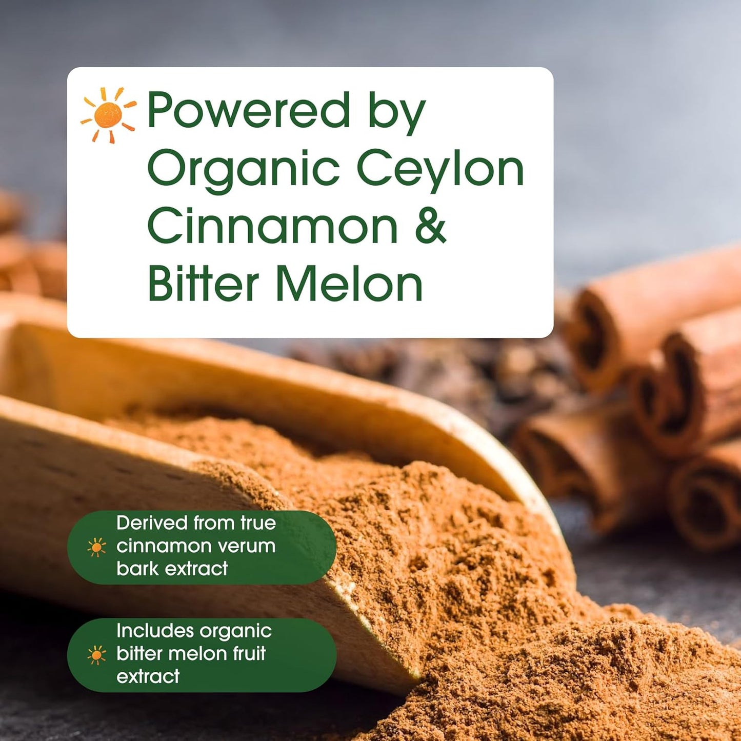Organic Ceylon Cinnamon with Bitter Melon Extract - 240 Capsules - Herbal Wellness & Daily Wellness Support Complex - Triple Strength - Non-Gmo - 3Rd Party Tested