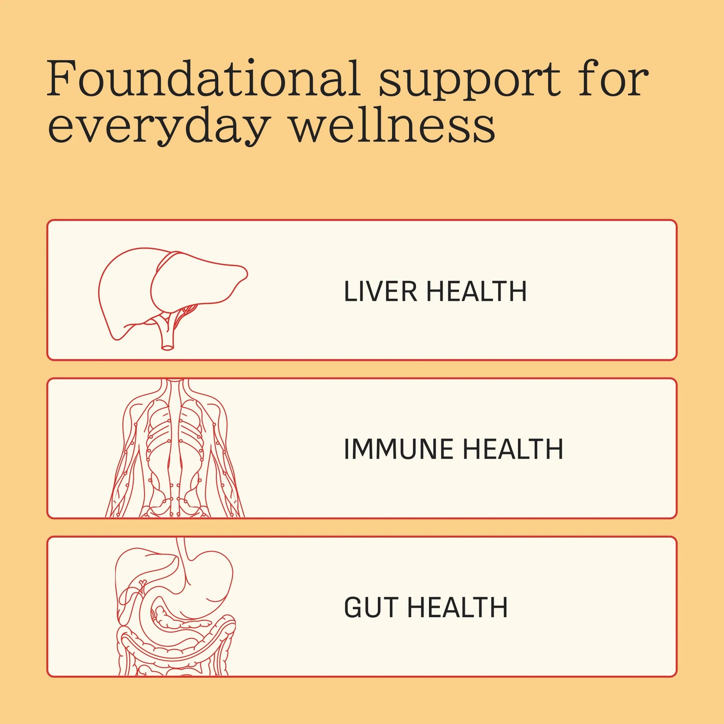 : Daily Gut Health Superblend