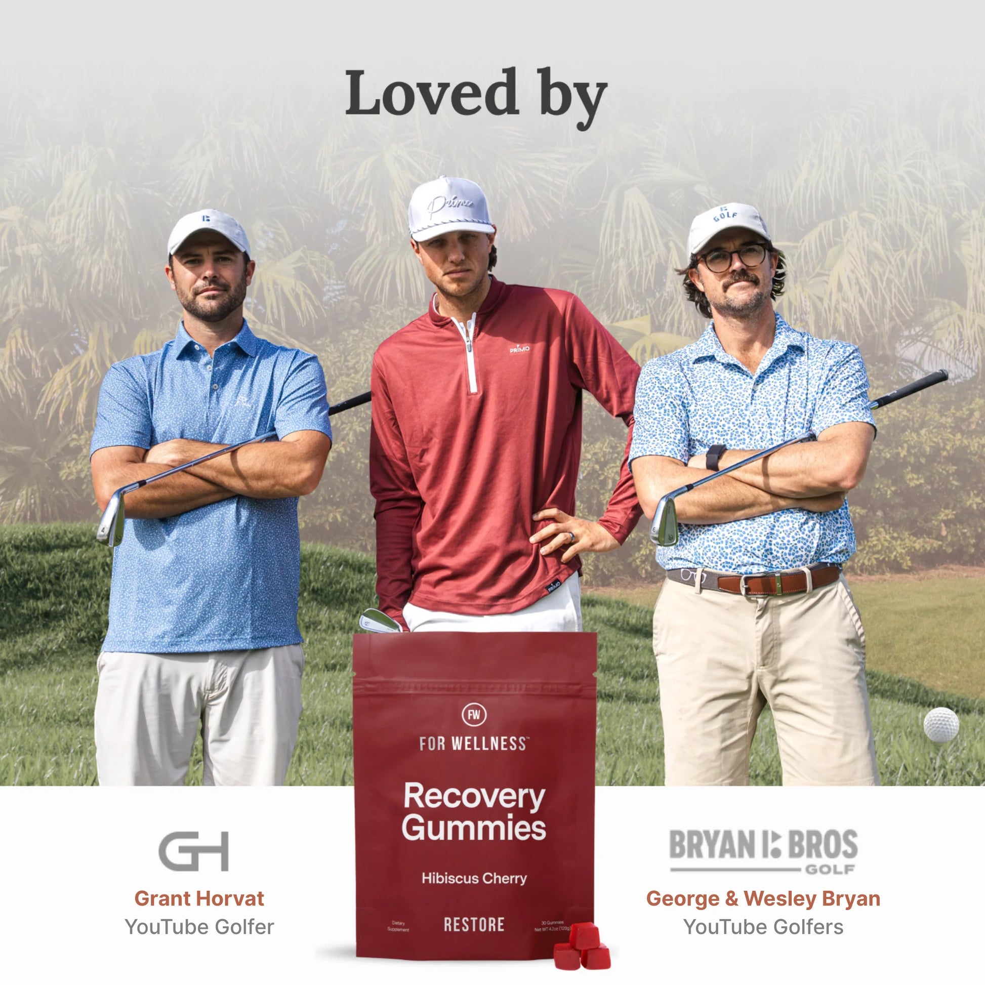 Recovery Gummies