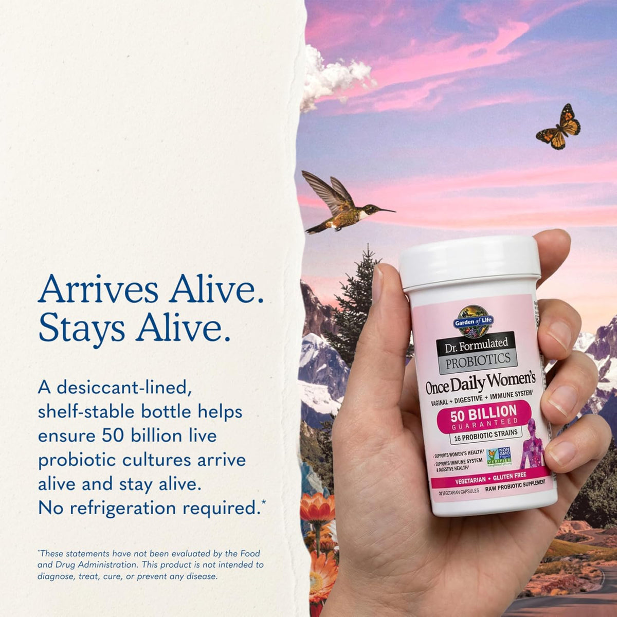 Garden of Life Dr. Formulated Probióticos Once Daily para Mujeres, 50 mil millones de UFC, 30 unidades