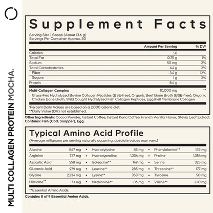 Multi Collagen Peptides Powder Mocha