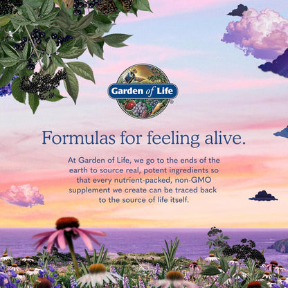 Garden of Life Dr. Formulated Probióticos Once Daily para Mujeres, 50 mil millones de UFC, 30 unidades