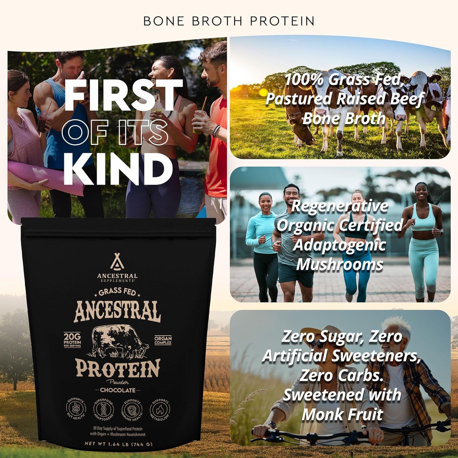 Grass Fed Protein Powder, Chocolate, Beef Bone Broth Based W/Beef Organs & Organic Mushrooms, Gut Health Support, High Protein Supplement, 20G Protein per Serving, 30 Day Supply