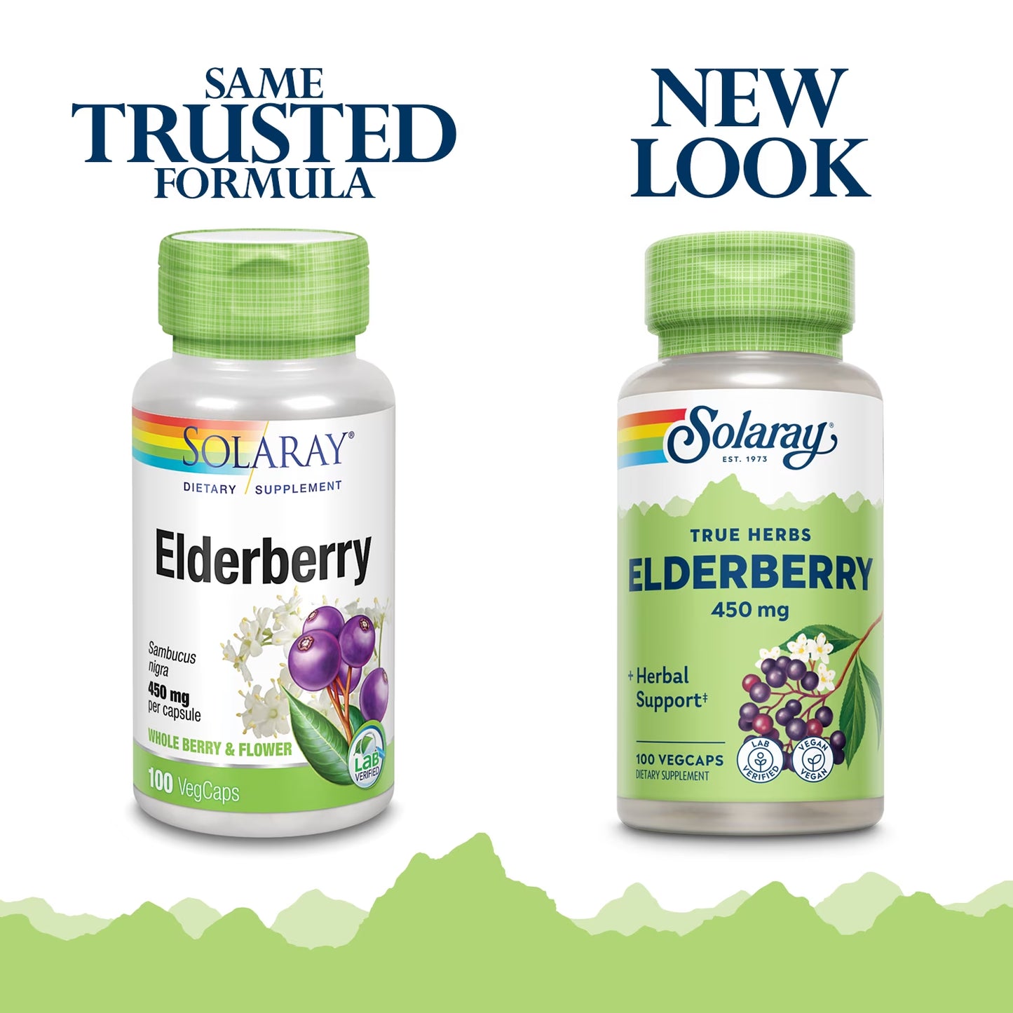 Elderberry Berry & Flower 450Mg | Support for General Wellbeing during Cold Months | with Flavonoids & Phenolic Compounds | Non-Gmo | 100Ct