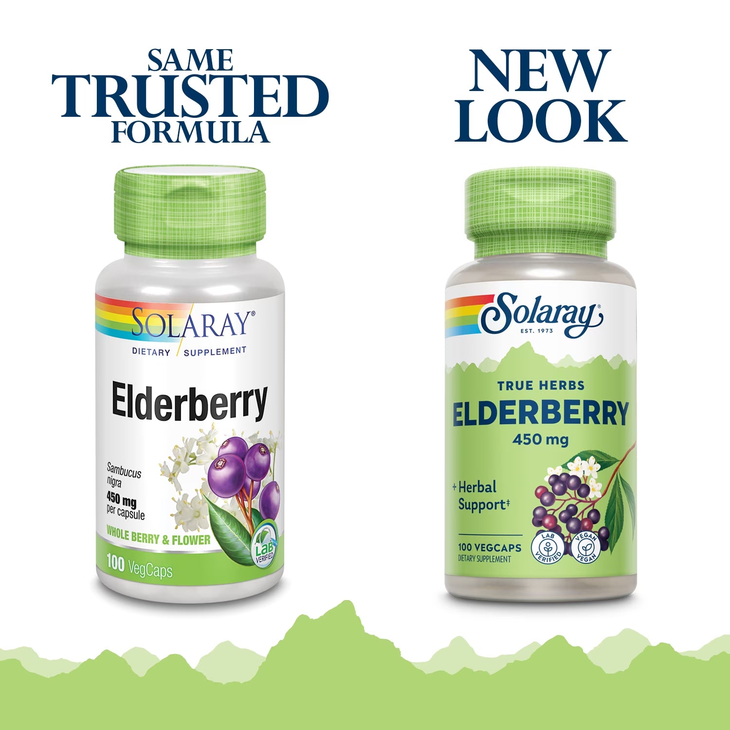 Elderberry Berry & Flower 450Mg | Support for General Wellbeing during Cold Months | with Flavonoids & Phenolic Compounds | Non-Gmo | 100Ct