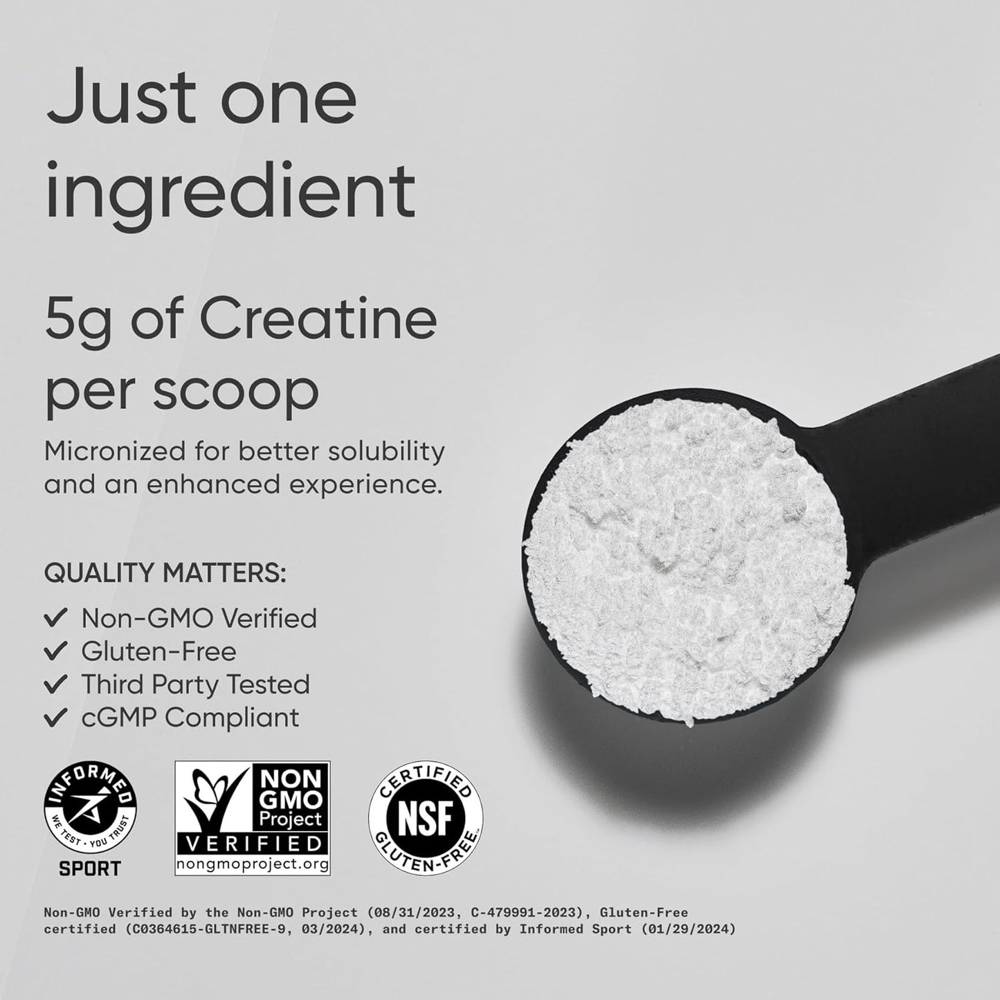 Creatine Monohydrate - Gain Lean Muscle, Improve Performance and Strength and Support Workout Recovery - 5 G Micronized Creatine - 10.58 Oz