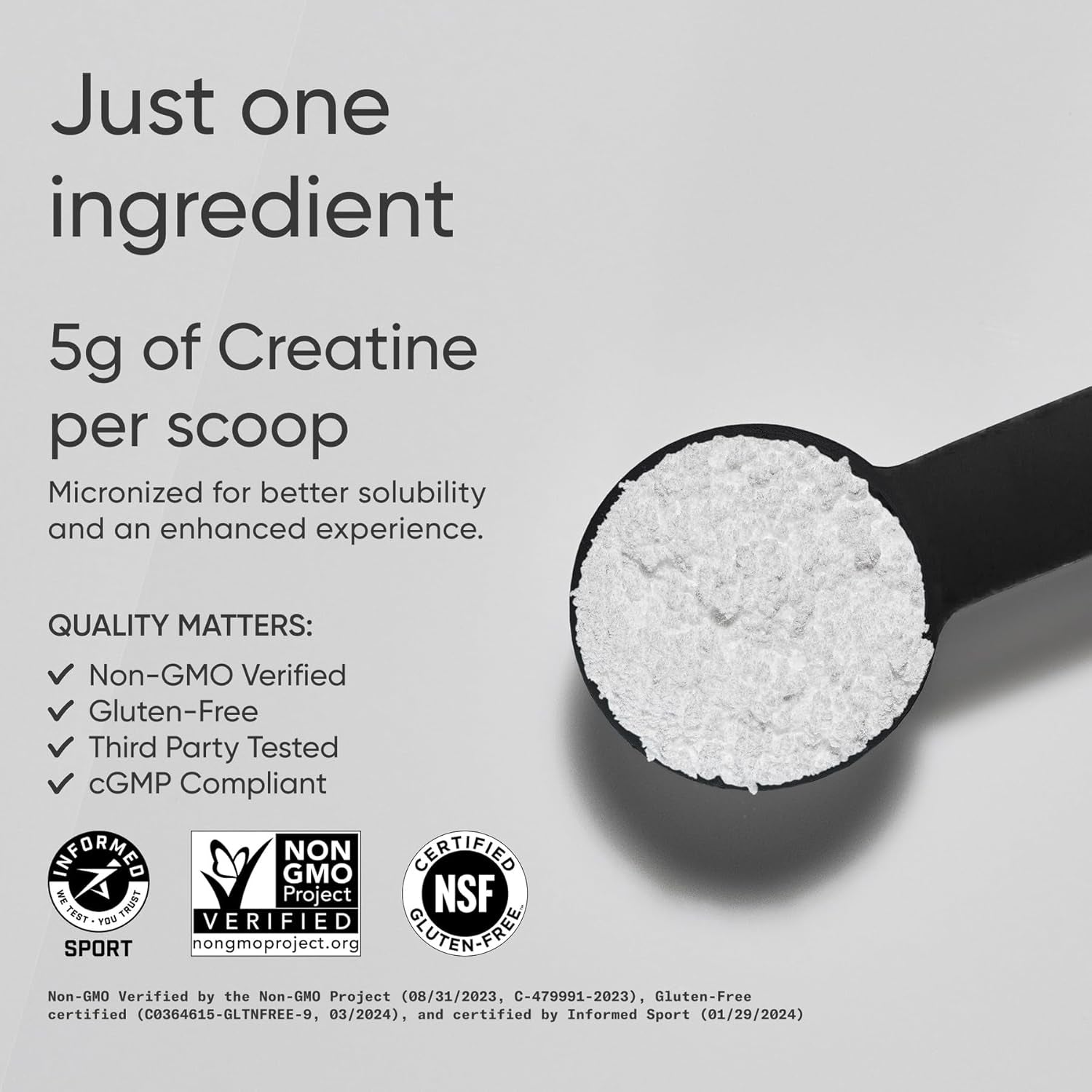 Creatine Monohydrate - Gain Lean Muscle, Improve Performance and Strength and Support Workout Recovery - 5 G Micronized Creatine - 10.58 Oz