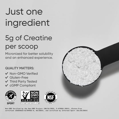 Creatine Monohydrate - Gain Lean Muscle, Improve Performance and Strength and Support Workout Recovery - 5 G Micronized Creatine - 10.58 Oz