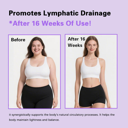 Lymphatic Complex 6-In-1 Capsules with Burdock, Dandelion & Kelp, Supports Digestion & Skin Vitality, Vegan, Non-Gmo, Gluten-Free, 90 Veggie Caps