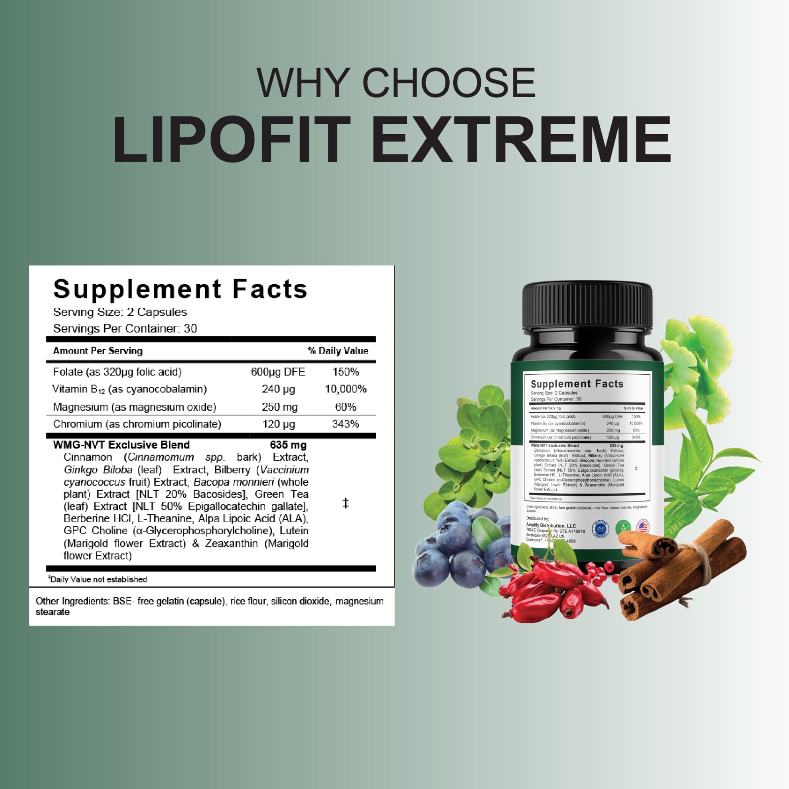 Lipofit Extreme Premium Wellness Supplement, Lipo Fit (60 Capsules)