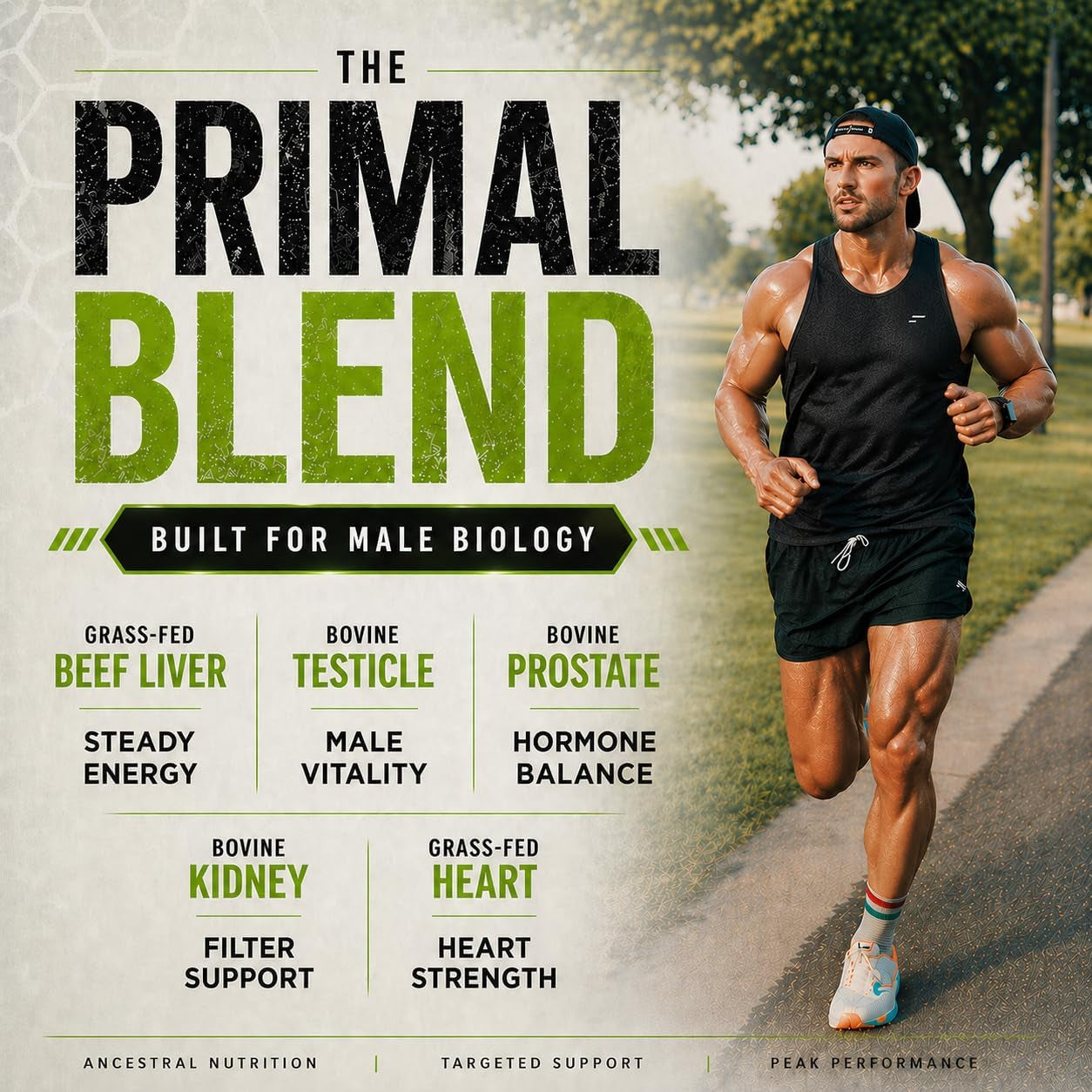 Grass Fed Beef Organ Supplement for Men - Male Optimization Pills - 6 Vital Beef Organs to Drive Prostate Health & Peak Performance, Made in USA, 90 Capsules
