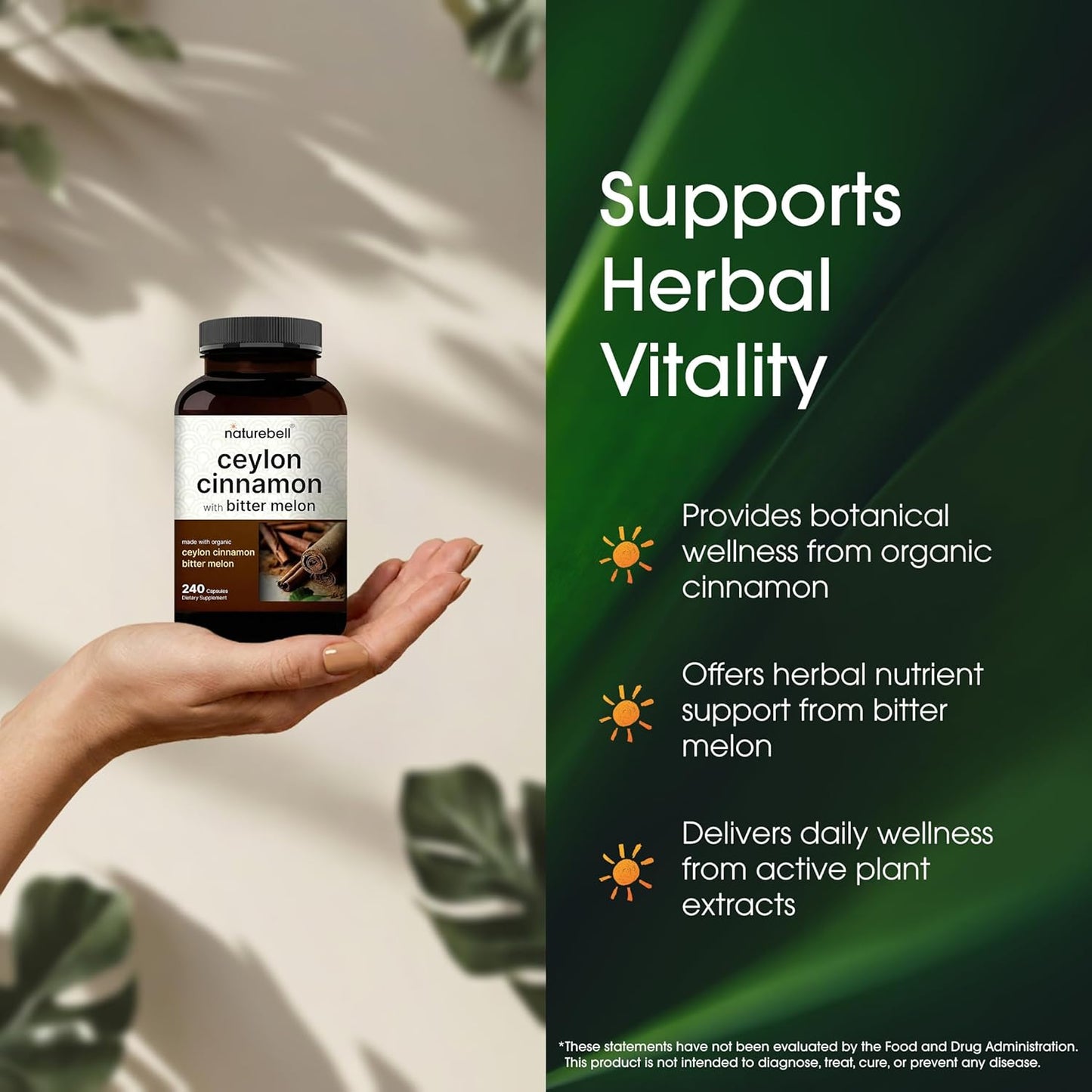 Organic Ceylon Cinnamon with Bitter Melon Extract - 240 Capsules - Herbal Wellness & Daily Wellness Support Complex - Triple Strength - Non-Gmo - 3Rd Party Tested