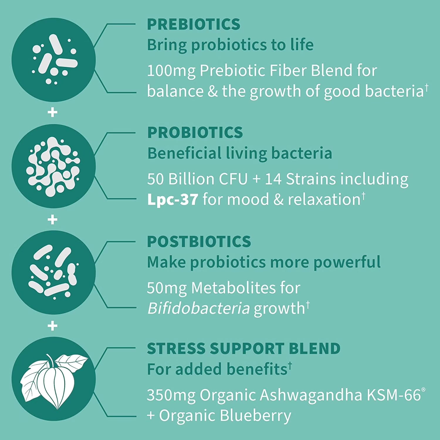 Dr Formulated Calm Daily 3-In-1 Complete Probiotics, Prebiotics & Postbiotics with Ashwagandha - PRE + PRO + POSTBIOTIC Supplement for Immune, Digestive & Mood Support - 30 Day Supply