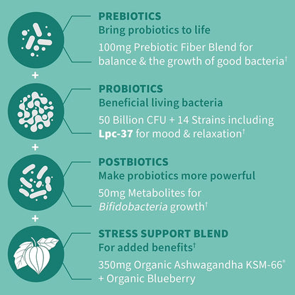 Dr Formulated Calm Daily 3-In-1 Complete Probiotics, Prebiotics & Postbiotics with Ashwagandha - PRE + PRO + POSTBIOTIC Supplement for Immune, Digestive & Mood Support - 30 Day Supply