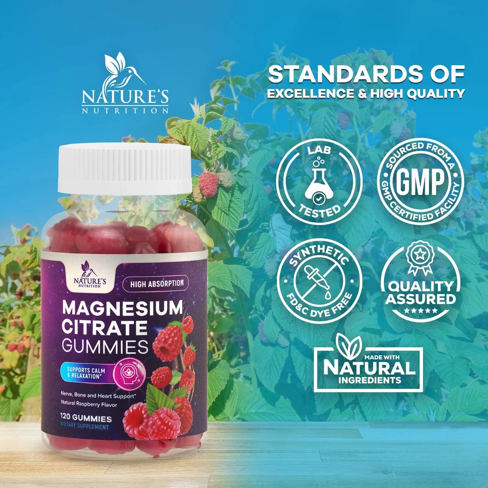 Magnesium Citrate Gummies - High Absorption Magnesium Citrate Gummy Supplement - Natural Bone, Nerve, Muscle, Calm, & Relaxation Support for Adults - Raspberry Flavor, Gluten Free, Vegan, 120 Gummies
